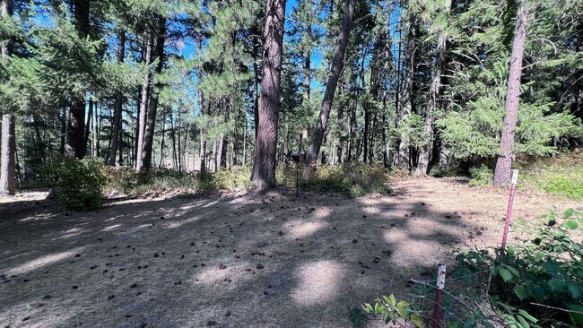 Building Photo - Peaceful Country Setting – Beautiful 5-Bed...