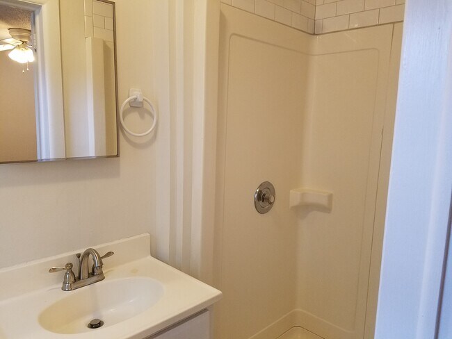 Master bath. - 115 N Warren St
