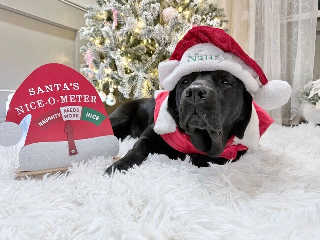 Building Photo - Gift yourself free application fees for this 1st Floor Immaculate 1 bedroom for rent in Sunny Myr...