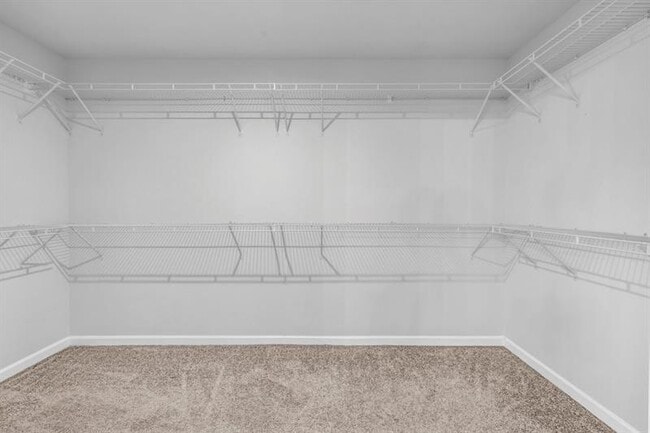 Building Photo - 4591 Grenadine Cir