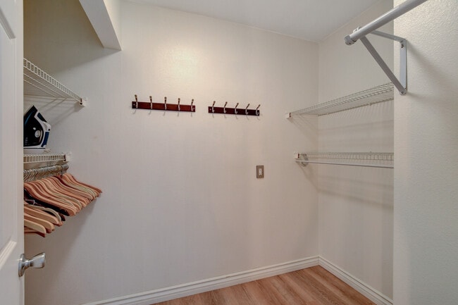 Building Photo - 4338 Caliente St