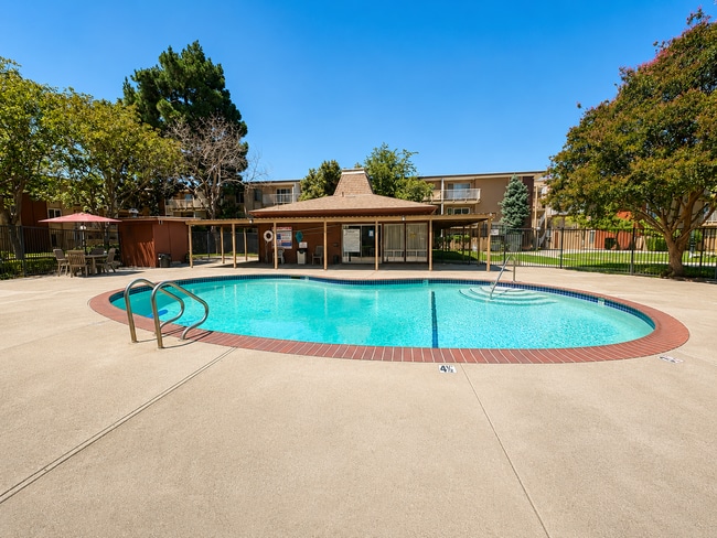 Building Photo - 38500 Paseo Padre Pkwy