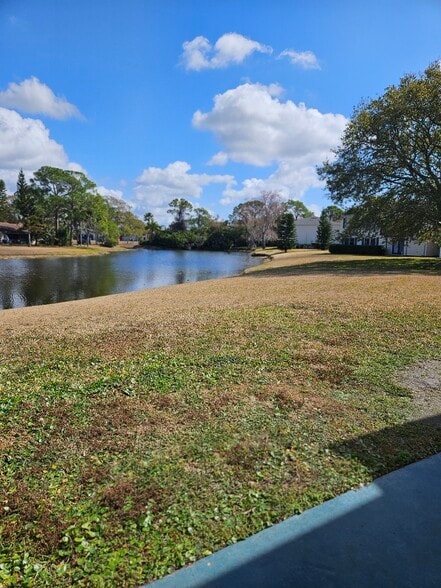 View from building - 129 Camphor Cir