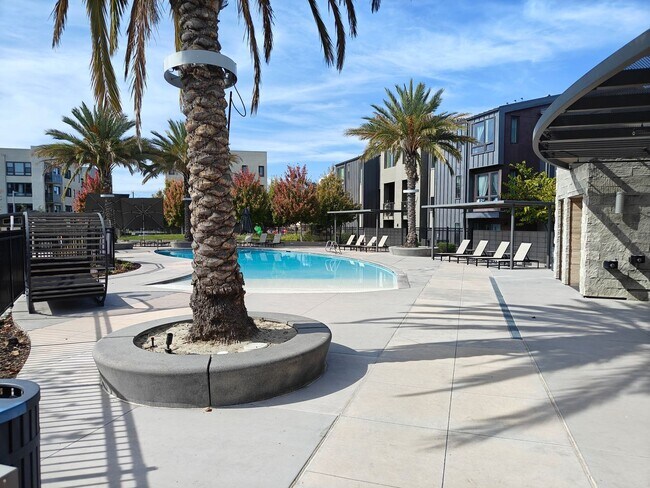 Building Photo - Luxury One-Bedroom Condo for Lease