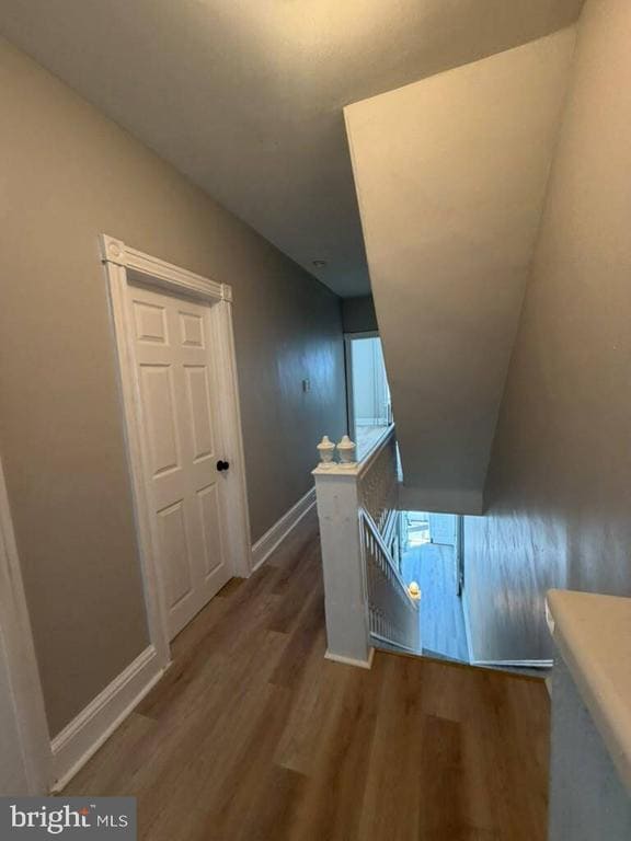 Building Photo - 449 Chambers Ave