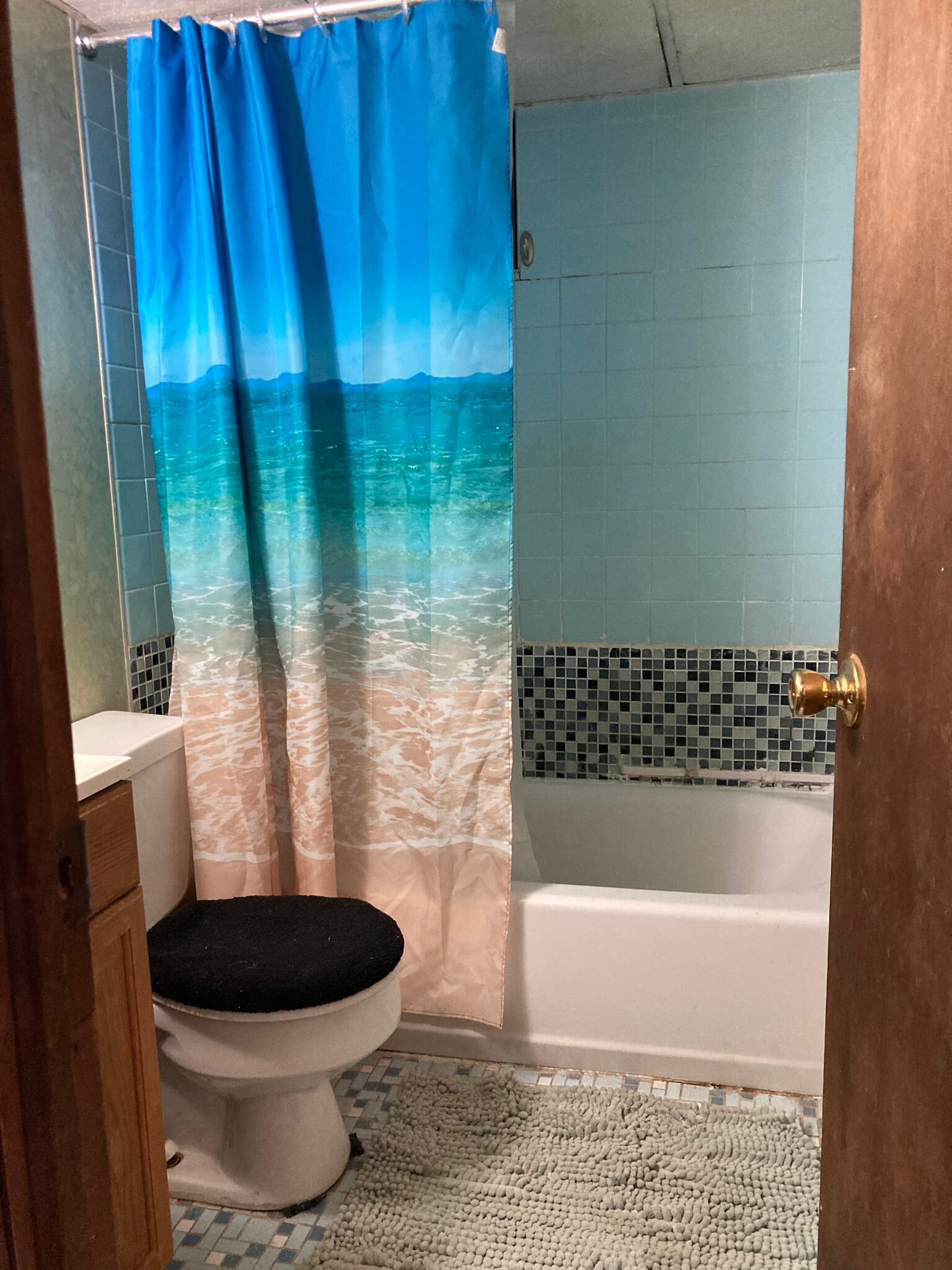 WRONG photo see 1st 15 photos - 764 Lenore Ln