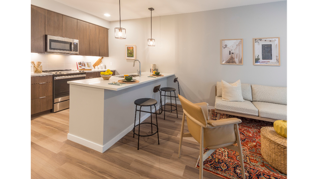 Spacious living room with open concept designer kitchen - Modera LoHi