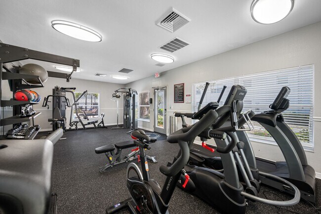 Building Photo - Newly Renovated 2 Bed-1 Bath Apartment wit...