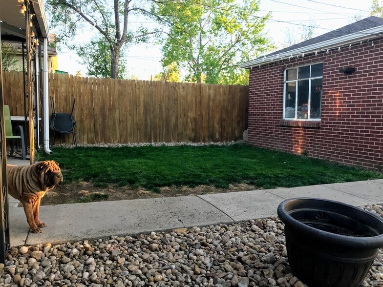 Backyard - 3131 Milwaukee St