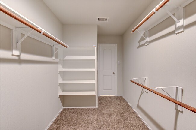 Building Photo - 23627 Eldarica Pine Ct