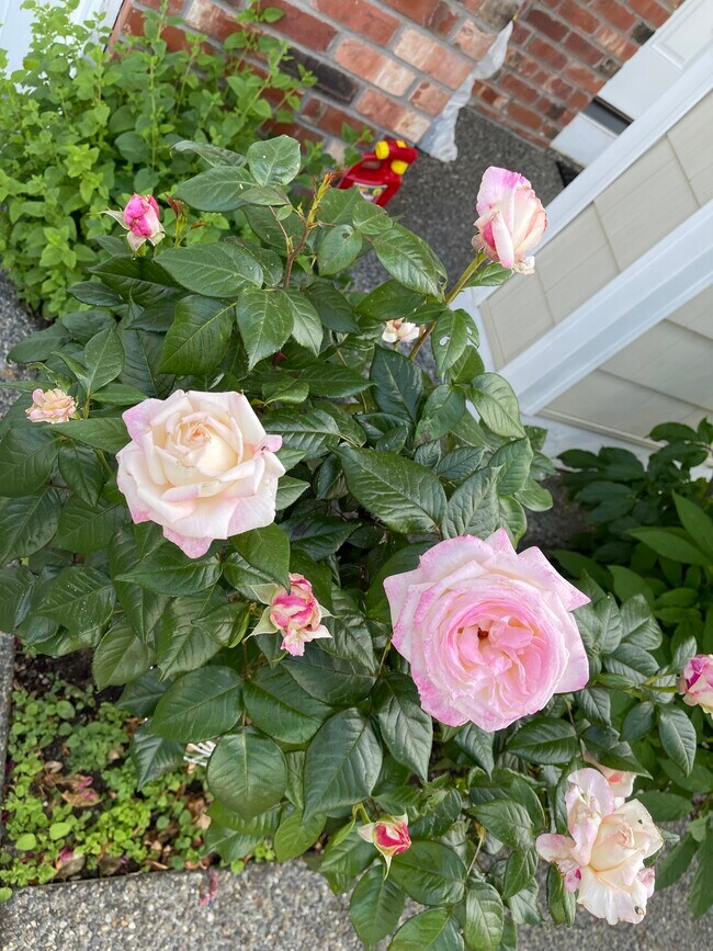 Building Photo - 15407 36th Dr SE