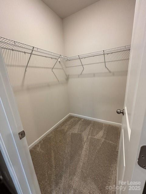 Building Photo - 306 Planters Trace Ln