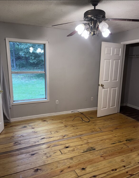 Building Photo - 1638 MS-178