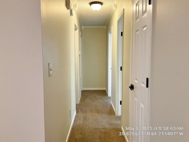 Building Photo - ** ~~ Beautiful 3 bedroom 2 bath house in ...