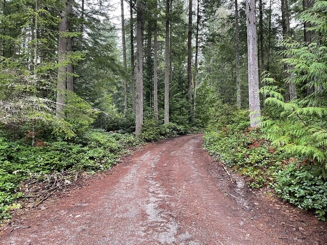 Building Photo - Single Level Home in Langley!
