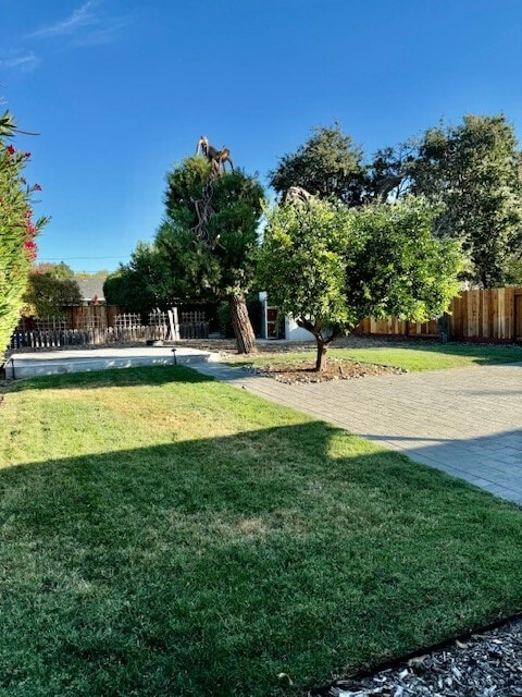 Building Photo - 1428 San Carlos Ave