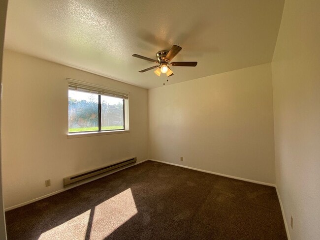 Building Photo - Nice Apartment