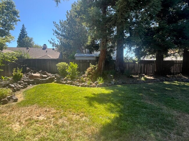 Backyard - 647 Hovey Way