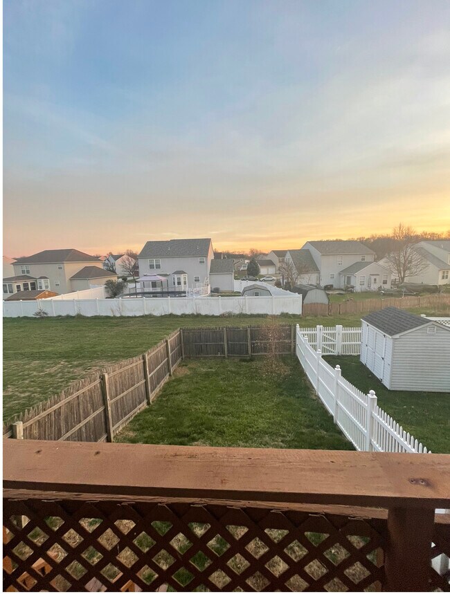 Backyard - 156 Versailles Ct