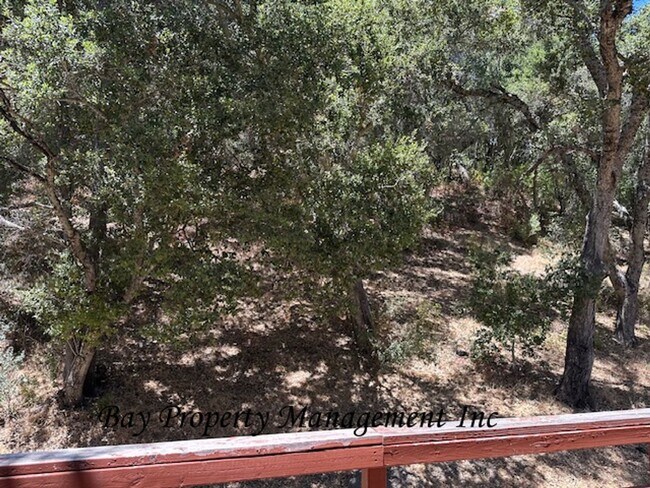 Building Photo - Unique Carmel Valley Horse Property!