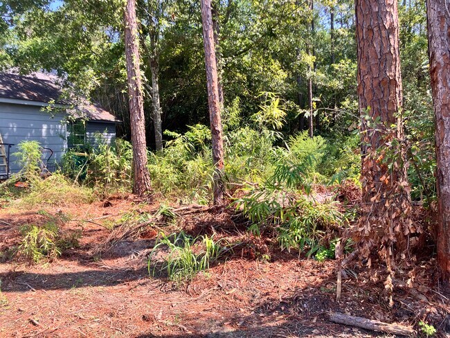 Building Photo - 164 Golden Meadow Dr