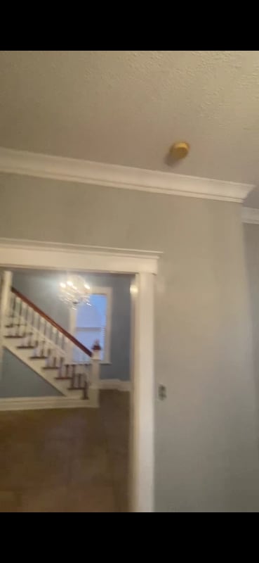 Building Photo - 1905 Ivy St