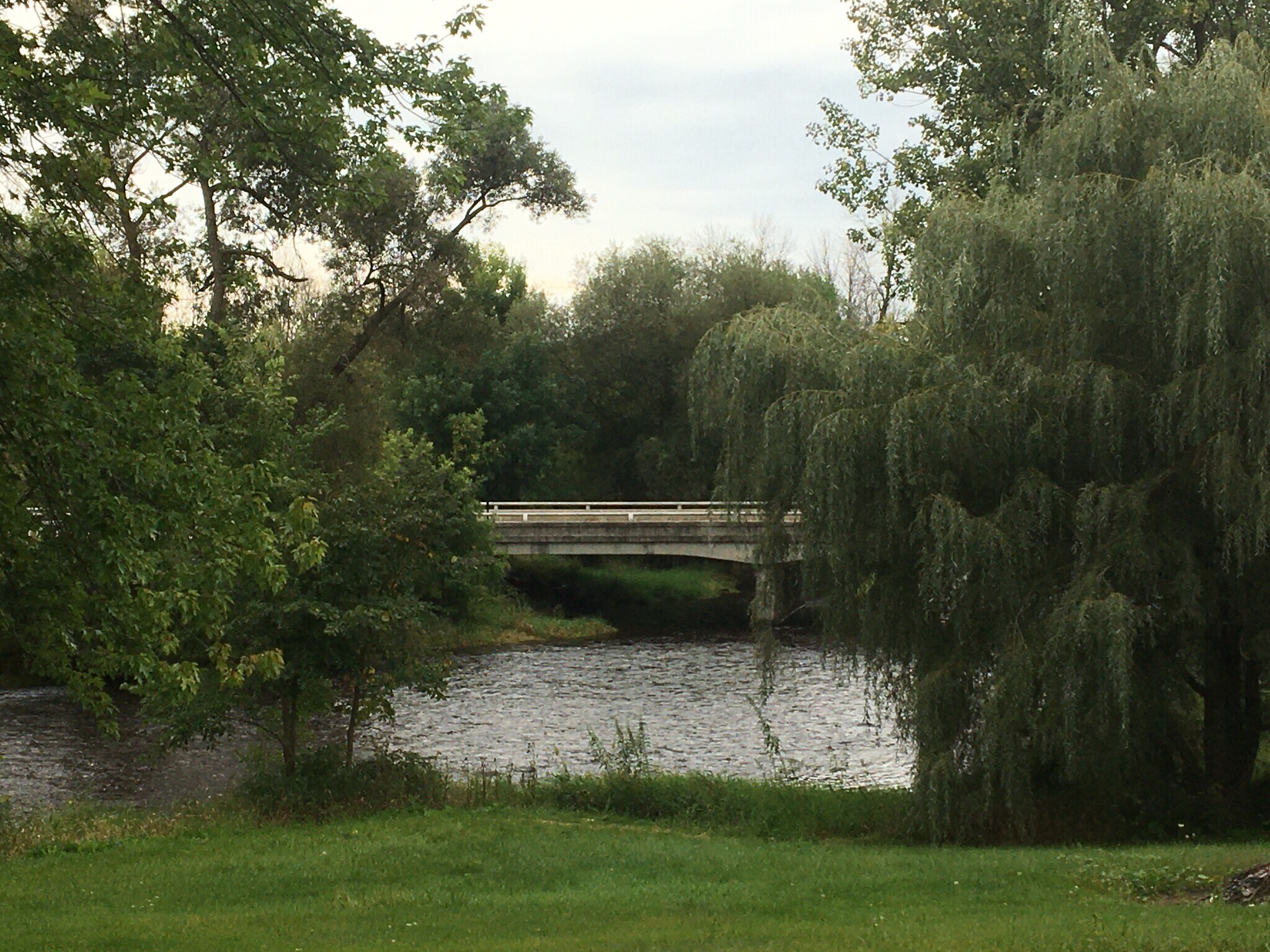 Sheboygan River back yard - N8133 Franklin Rd