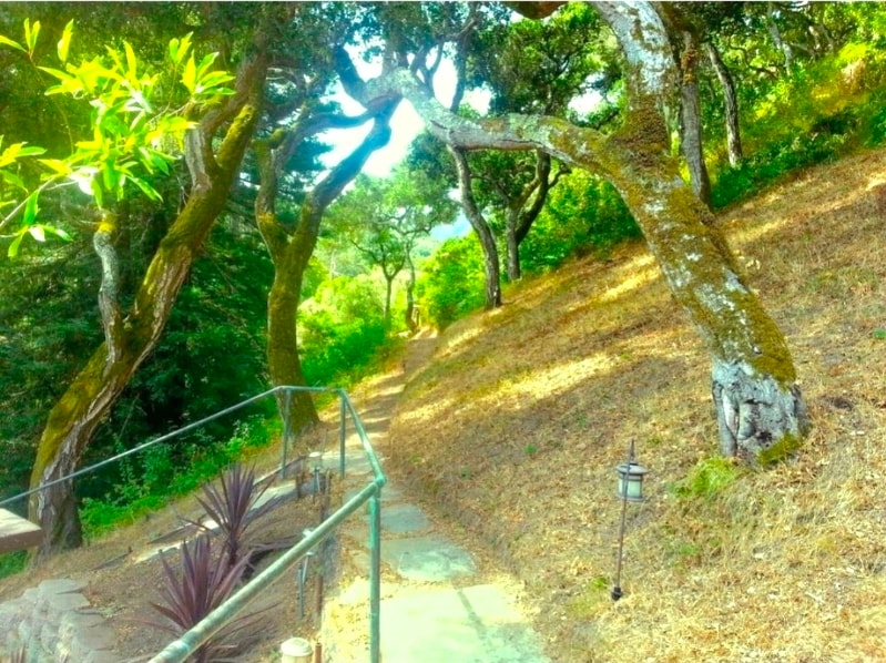 Building Photo - 29090 Robinson Cyn Rd