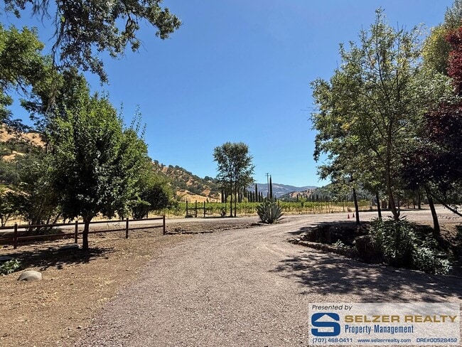 Building Photo - Newly renovated 3 bd. home set amongst the...