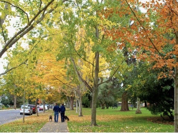 Building Photo - 462 Adams St