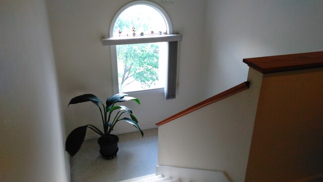 Building Photo - 145 Windwood Dr