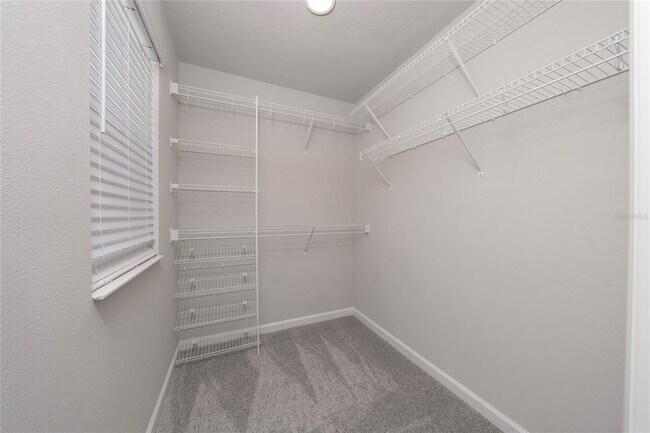 Building Photo - 4172 Campsite Lp