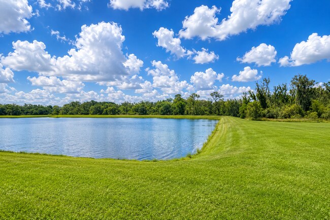 Building Photo - "Charming 3-Bedroom Home with Elegant Granite Touches in Wimauma!" Community pool! Fitness center...
