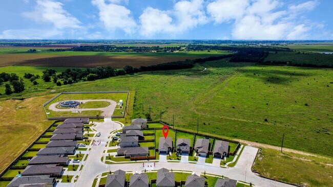 Building Photo - 10411 Birds Nest Dr