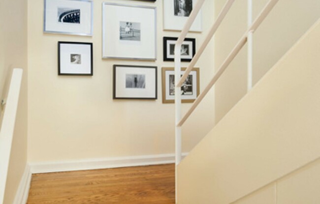 Building Photo - Luxury Brookline 1 Bed