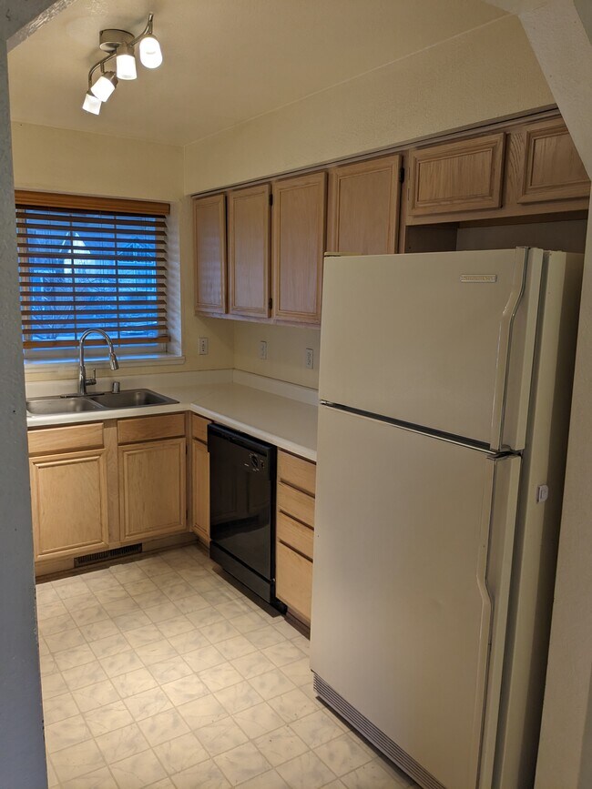 Building Photo - 1807 Rock Ct