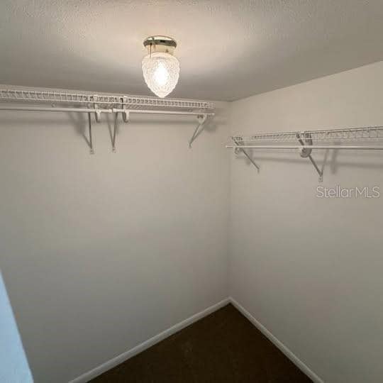 Building Photo - 2154 Cedar Dr