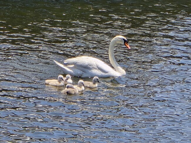 Primary Photo - 26 Compass Rd