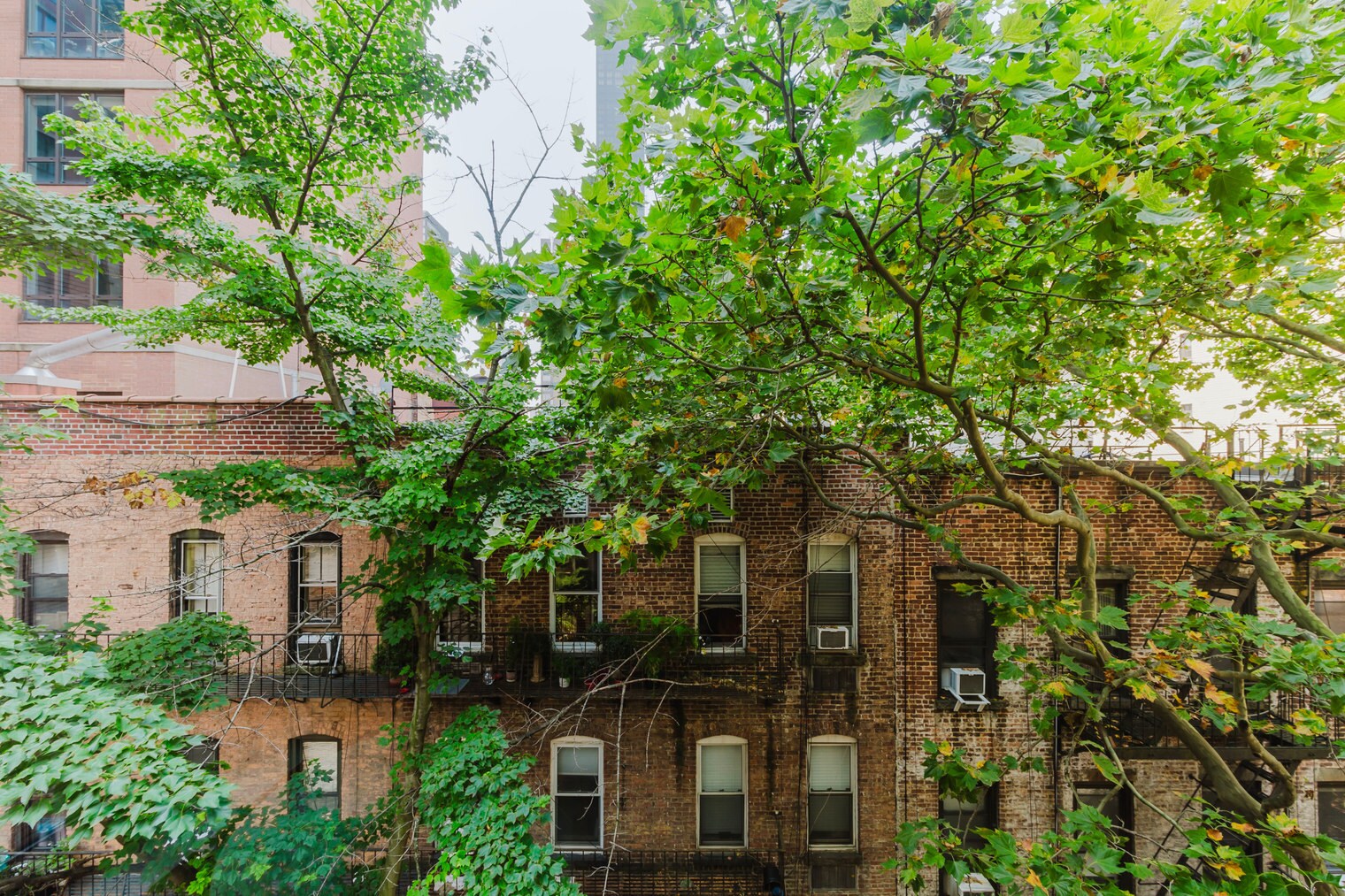 Building Photo - 340 E 52nd St