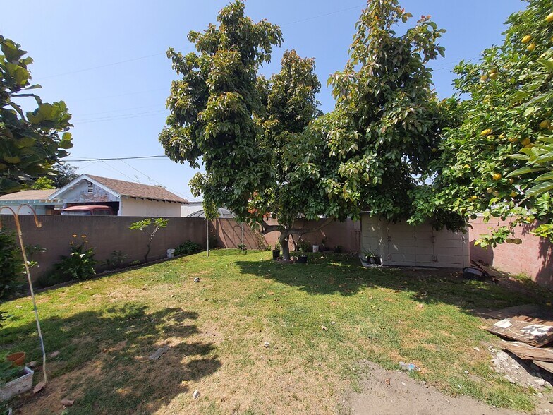 Back Yard - 2647 Independence Ave