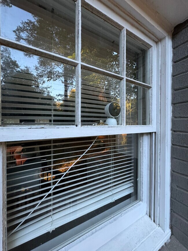 Building Photo - 3494 Maryvale Dr