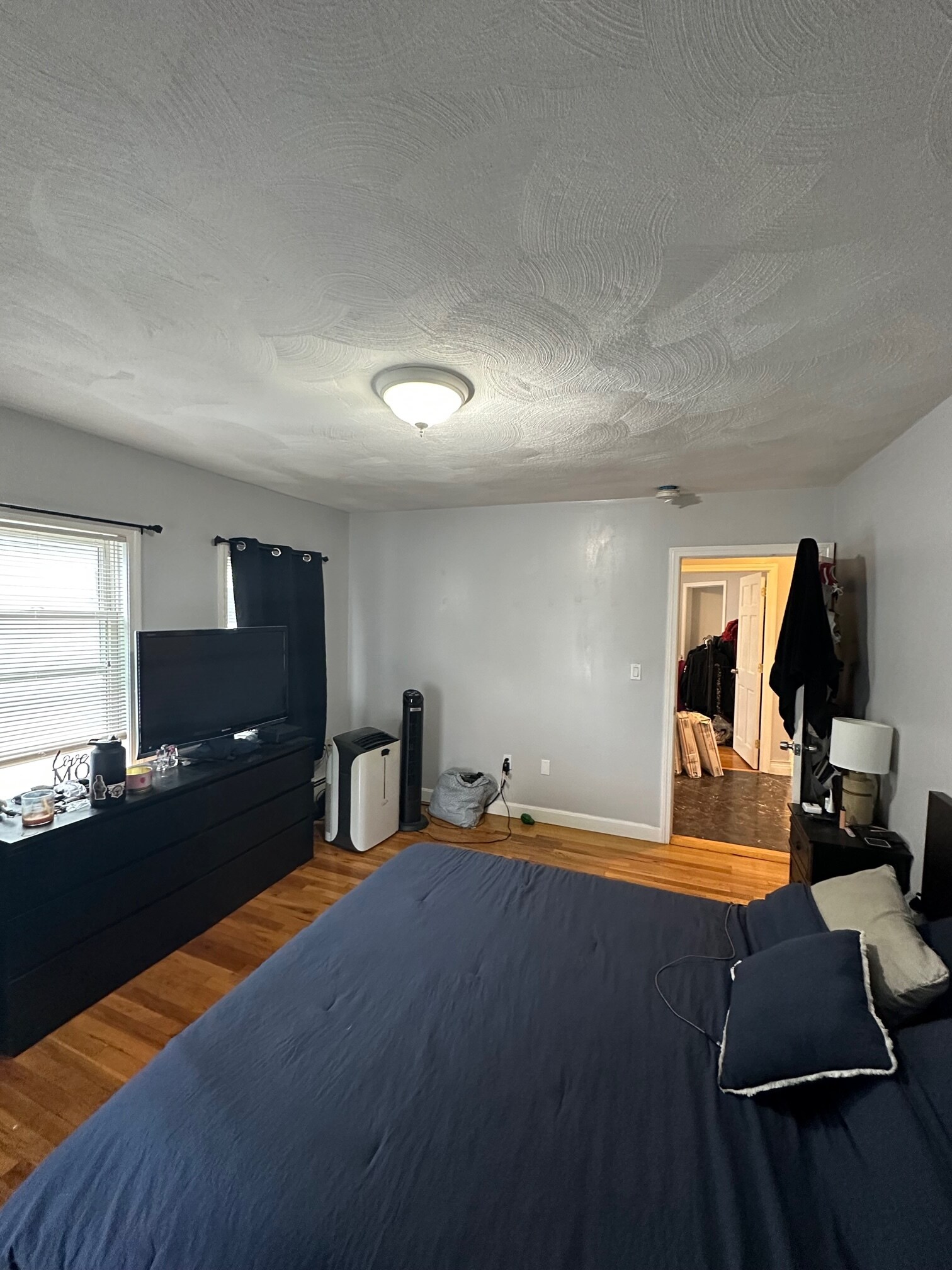 Building Photo - 73 Almont St