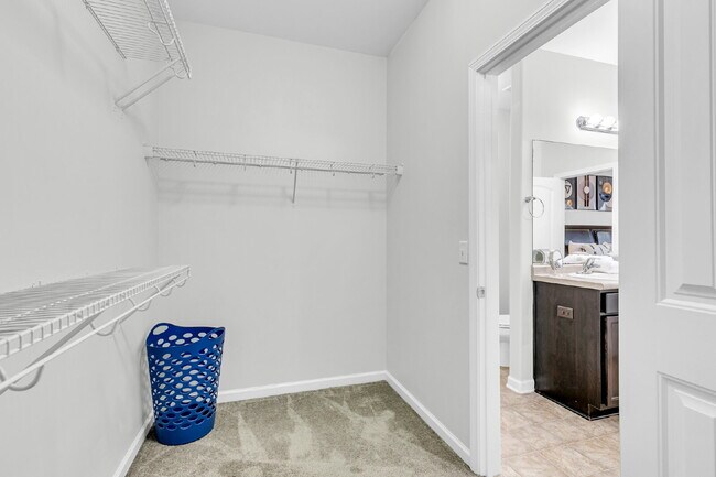 Building Photo - Cozy executive rental in Savannah highlands