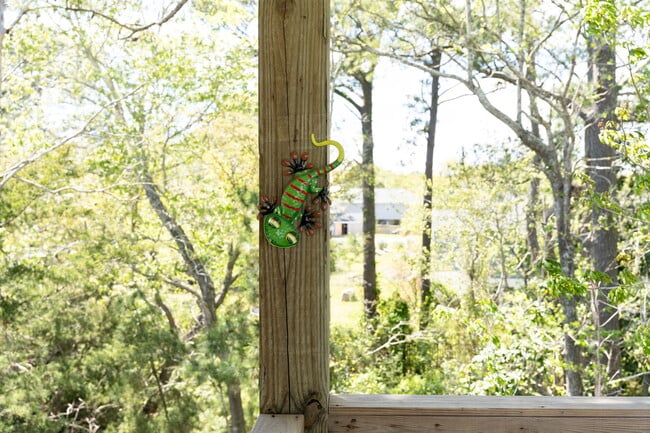 Building Photo - 211 Lewis Dr