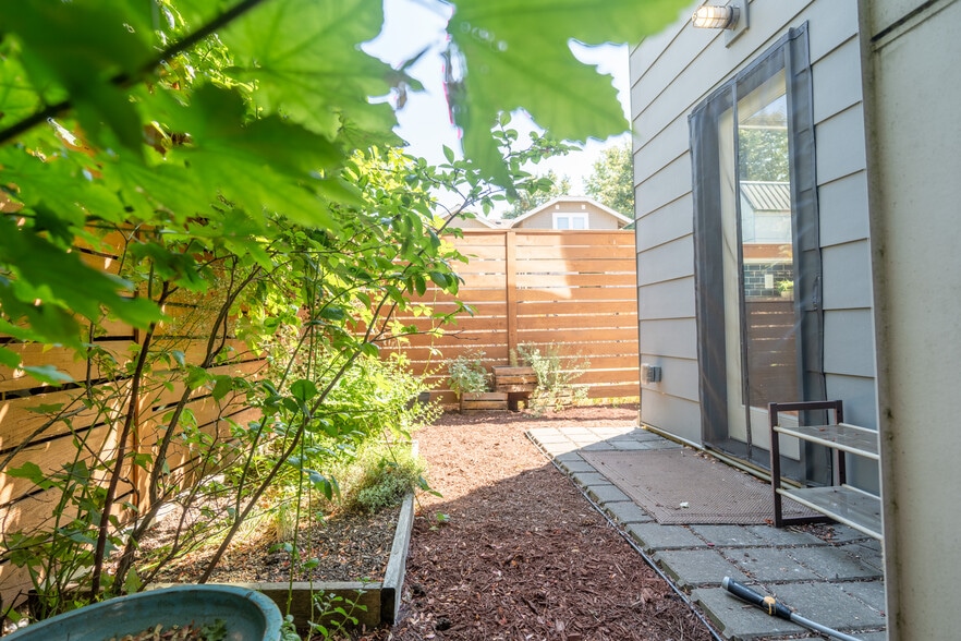 Back garden - 424 26th Ave S