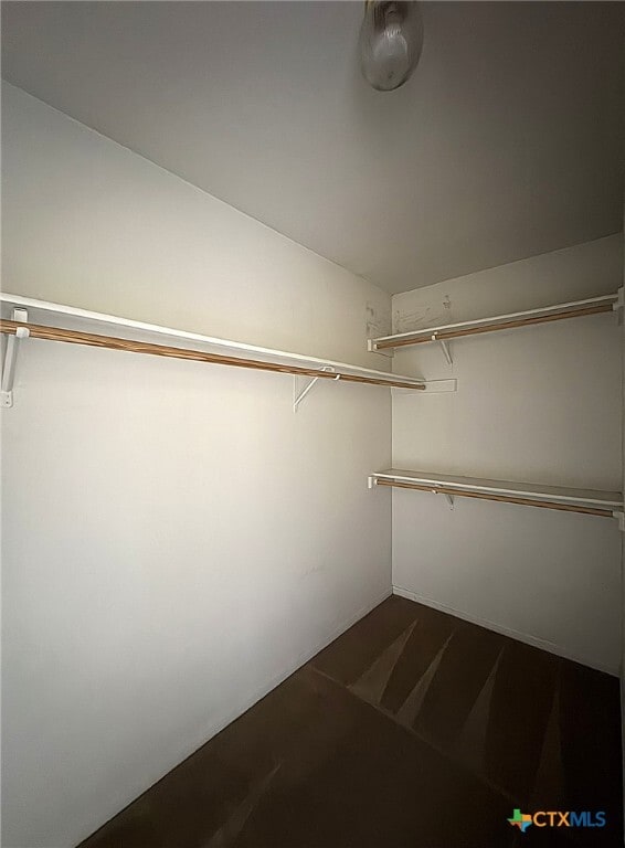 Building Photo - 2703 Vernice Loop