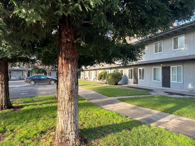 Interior Photo - The Loft Apartments