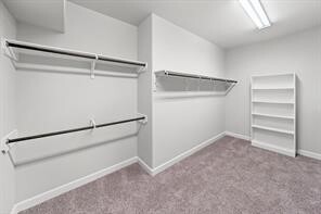 Building Photo - 5026 Lacebark Pne Trl