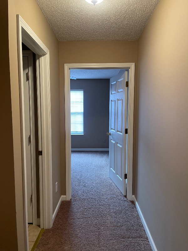 Building Photo - 258 Dumplin Ln