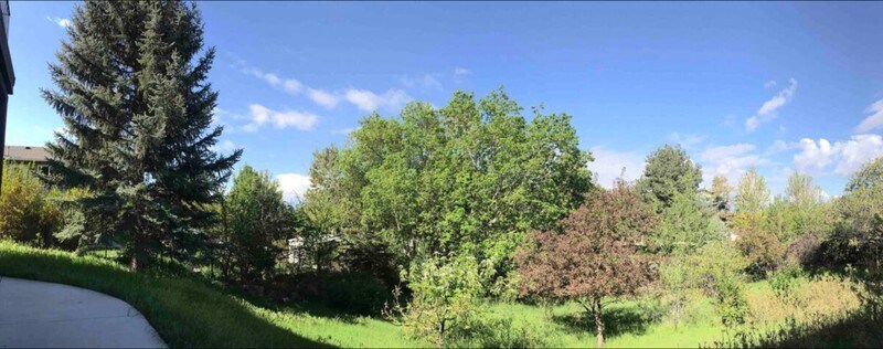 Building Photo - 3837 Foothill Dr